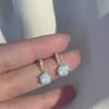 Pendientes Colgantes de Plata de Ley S925 con Diseño de Nicho para Mujer, Pendientes de Lujo Ligero de Gama Alta, Nuevos Pendientes de Accesorios para Orejas de Celebridad de Internet de Moda 2026