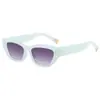Óculos de Sol Tendência Street Style Europeu e Americano 2025 para Homens e Mulheres 2449 Óculos Cat-Eye Poligonais Personalizados Venda por Atacado de Fábrica