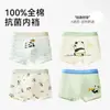 Ropa Interior para Niños Tipo Algodón Puro Algodón 6-12 Niños Bebé Pantalones Cortos Adolescentes Boxer Briefs Período de Desarrollo No Pellizca los Glúteos