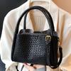Bolso Tote de Mano Nicho Transfronterizo para Mujer 2025 Nuevo Casual Versátil para Viajar Bolso Bandolera Moderno Bolso de Hombro para Suegra