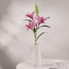 Nova 3d grande única 3-flor 1-Bud Lily flor artificial decoração de casa ornamentos flor falsa flor artificial transfronteiriça Long Branch