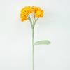 Día de San Valentín Chino Flores de Ganchillo Flores de Hilo Tulipanes Margaritas Rosas Tejido Crochet Flores Eternas Peonías Tejido a Mano