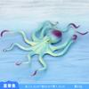 Modelo de animal marino de simulación langosta cangrejo pulpo delfín estrella de mar juguetes para niños accesorios de educación temprana venta al por mayor especial