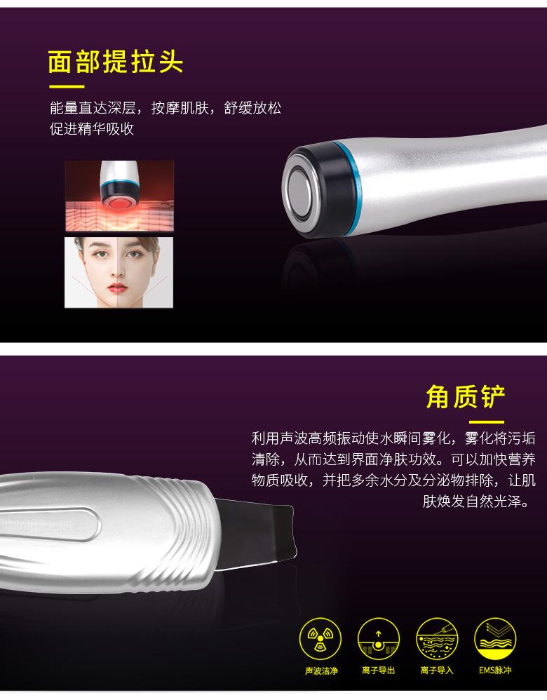 白天鹅不带喷枪_05.jpg