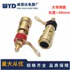 Em Estoque L=40Mm Banhado a Ouro Tipo Pressão Terminal de Mola Grande Soquete de Travamento Automático de Mola para Amplificador de Alto-Falante
