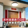 Lámpara de techo para entrada de villa, Vestíbulo de entrada de casa rural autoconstruida, Techo exterior, Balcón, Pasillo, Lámpara de estilo chino nuevo