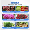 Planta Floración Rápida, Promoción de Floración, Floración Rápida, Florecimiento, Fertilizante Orgánico de Fósforo y Potasio, Solución Nutritiva Concentrada para Jardinería