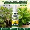 Kineshinex spray protetor repelente de insetos à base de plantas, sem aditivos químicos, antibacteriano, spray repelente de insetos universal para flores e plantas verdes