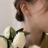 Brincos de Gipsófila Geométricos em Aço Titânio para Mulheres Estilo Ins Simples Luxo Leve Argola de Orelha Toque de Alto Padrão Brincos de Moda Personalizados Não Desbotam