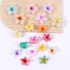 Horquilla de flor de huevo de bauhinia de 3 cm de Amazon transfronteriza, horquilla para el cabello con disco para la cabeza para mujer, clip para el cabello tipo pinza de tiburón, accesorios para el cabello
