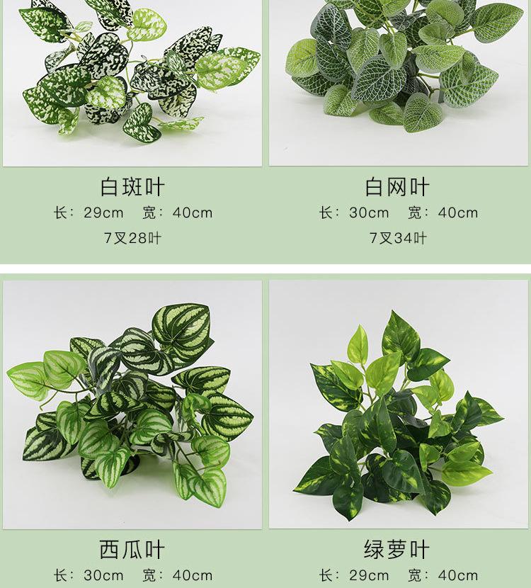 仿真小植物01详情_03.jpg