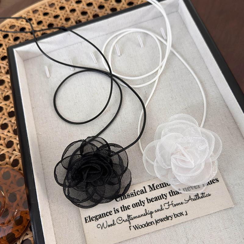 2024_05_16_11_24_IMG_9556