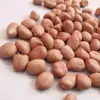 [Nuevo Precio de Cacahuates Crudos] 23 Años de Cacahuates Crudos Cultivados en Granja, Cacahuates Blancos Arenosos Frescos Descascarados al Mayoreo