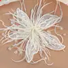Super Fada Renda Pena Flor Flor de Cristal Acessórios para Cabeça Vestido de Noiva Broches Decorações Sapatos Chapéus Acessórios de Vestuário