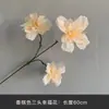 Flores Artificiais de Seda Cor de Champanhe para Arranjos Florais, Decorações de Corredor, Arcos, Flores para Teto de Salão de Casamento e Decorações de Casamento
