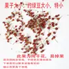 Flores Secas, Frutos de Rosa Mosqueta, Flores Frescas, Pequenos Frutos Vermelhos, Frutas Secas, Flores Vermelhas de Ano Novo, Materiais para DIY de Natal Atacado