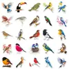 50 Pegatinas de Pájaros, Animales Lindos de Dibujos Animados, Gorriones y Golondrinas, Decoración de Funda de Teléfono Móvil, Pegatinas para Cuaderno, Pegatinas Adhesivas