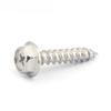 Acero Inoxidable 304/Galvanizado Brida Hexágono Externo Tornillo Autoperforante Cabeza Phillips Cola de Pozo Tornillo para Madera M4-M10