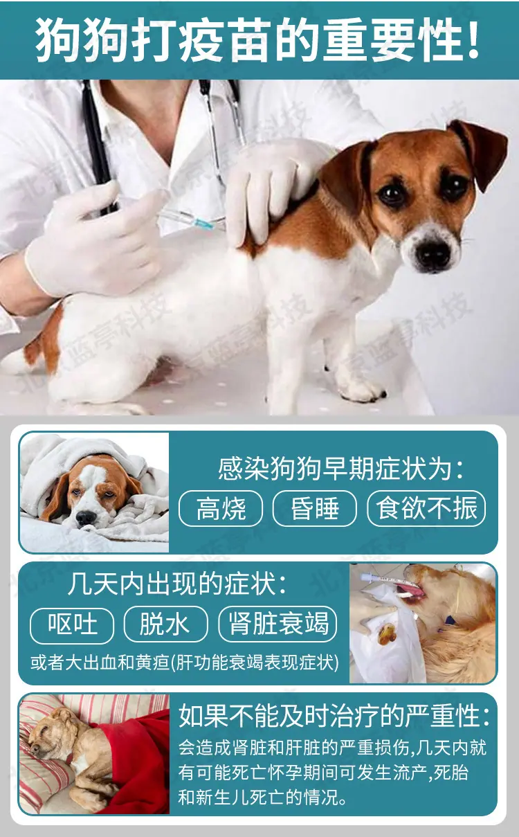 多格多英特威水印_03.jpg