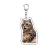 Diseño en CapasLlavero Acrílico de Doble Cara para Mascotas Colgante de Expresión Rana Perro Gato Creativos Accesorios