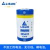 LISUN Lixing ER34615 medidor de gás medidor de gás medidor de vazão PLC Internet das Coisas Bateria de lítio nº 1 D 3,6V