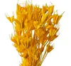 Flor de Anis Estrelado Seca Yunnan China Artesanato Natural DIY Material para Buquê Fornecimento em Massa