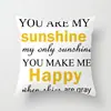Almohada de Dibujos Animados Creativos Letras Inglesas Piel de Durazno Cojín para Sofá Funda de Almohada de Cabecera Personalizable