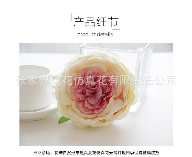 详情图_03.jpg