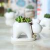 Maceta de Cerámica Blanca Creativa Estilo Country Americano para Flores Carnosas Decoración del Hogar Gatito de Dibujos Animados MengMeng Planta Verde en Maceta