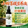 Solución nutritiva especial para Bodhi Xiao Pan para promover el enraizamiento, fortalecer las plántulas, prevenir el amarillamiento de las hojas, la caída de hojas, la caída de frutos, la falta de fructificación, la pudrición de raíces, el marchitamiento, la dificultad de cultivo