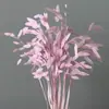 Flores Eternas Erva da Pequena Esperança Flores Secas Flores Verdadeiras Branqueamento Cor acessórios de buquê absorção de cor Erva da Pequena Esperança Fábrica de Yunnan Atacado Flores Eternas