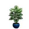 Decoração de interior para bonsai de veludo branco com 18 videiras, ornamentos de decoração de fábrica Amazon direta transfronteiriça, casco de tartaruga verde