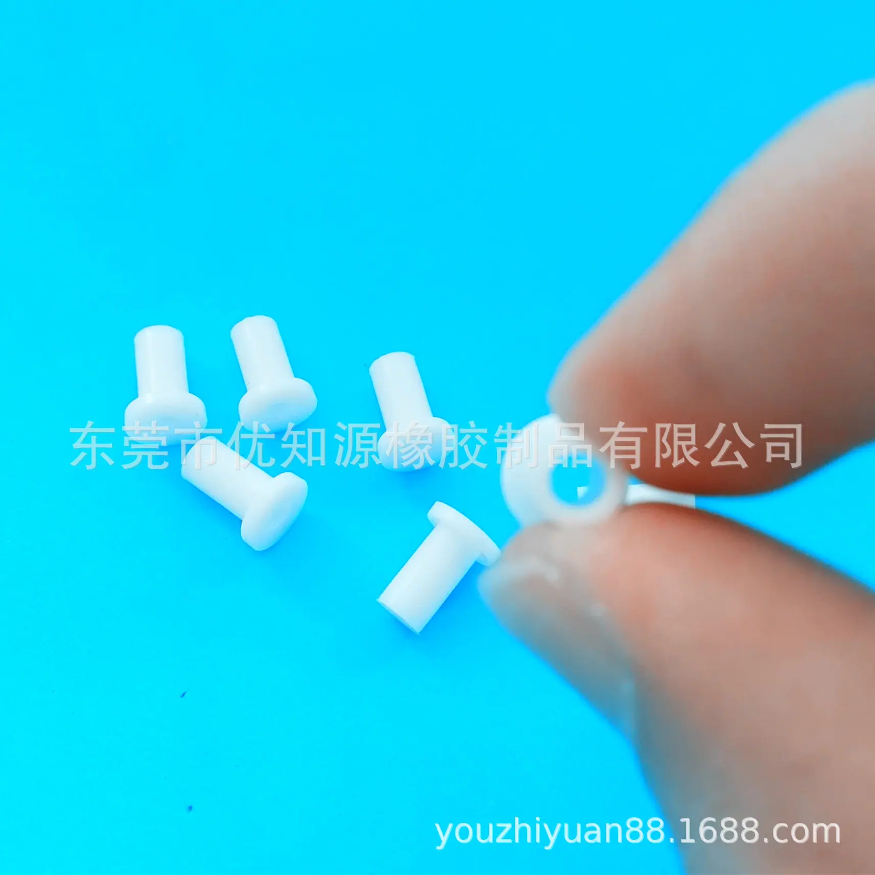 B056486544B073A1BB3A64B2BDD8C9