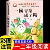 Todo Revive 26 Lectura de Otoño para Primer Grado con Edición Pinyin Un Jardín de Verduras Se Convirtió en Espíritus Cuento de Hadas de la Pequeña Palma Tirando de Rábanos