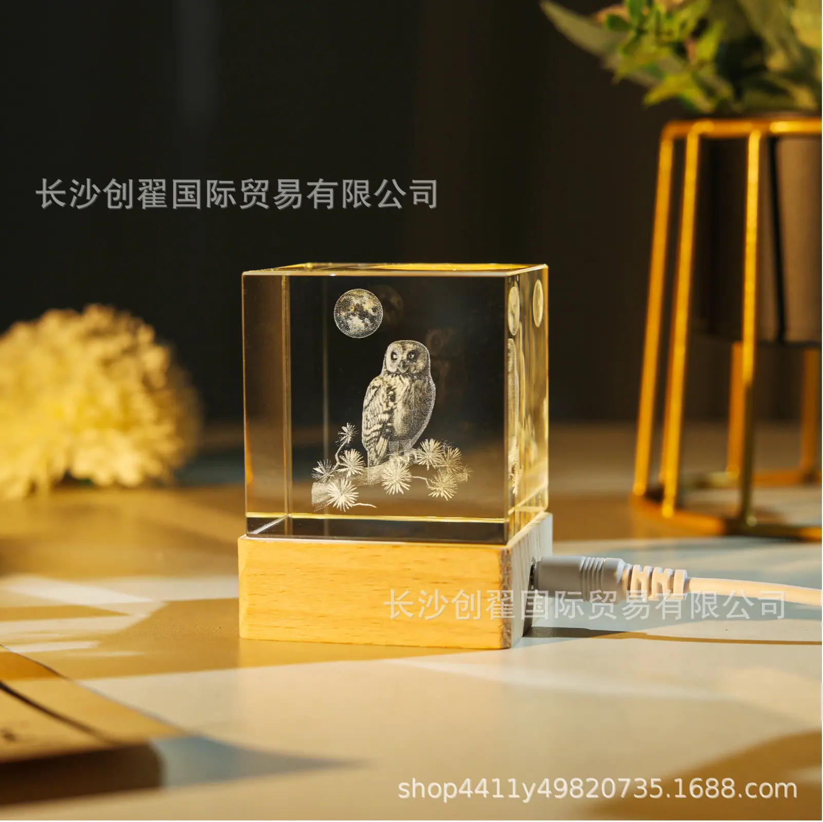 猫头鹰_09.jpg