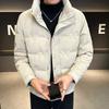 Chaqueta de plumón para hombre, Invierno, Marca de moda, Cuello vertical, Engrosada, Cálida, Plumón de pato blanco, Abrigo corto, Casual, Deportivo