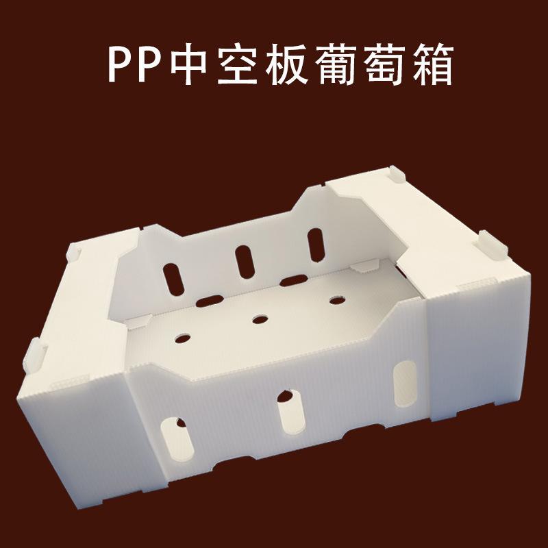 葡萄.jpg