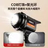 Luz de relleno profesional de 100W para transmisiones en vivo, ideal para vlogs de belleza, transmisiones en vivo, iluminación COB, fotografía y retratos