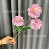 Flores de peonía de carpa artificial de 3 cabezas para decoración de bodas y hoteles, decoración del hogar, flores artificiales para arreglos de pasillo y arreglos florales