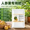 Flor de Florada de Fruto de Ginseng Flor de Fruto Fertilizante Solução Nutritiva Flor de Fruto de Ginseng Proteção da Flor Proteção do Fruto Agente de Pegamento de Fruto Alta Eficiência Controle de Crescimento Agente Anti-Queda Produto Genuíno