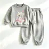 Conjunto de Sudadera con Capucha para Bebé Primavera y Otoño Lindas Niñas Manga Larga Ropa Exterior Elegante Pantalones Deportivos Casuales Conjunto de Dos Piezas para Niños Pequeños