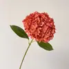 Alta simulación gran hortensia profundidad múltiples colores para hacer pared de propuesta más realista verano sin fin hortensia impresión 3D