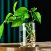 Jarrón de Vidrio Sencillo Potos Botella Ecológica Hidropónica Jarrón Cilíndrico Recto Micro Paisaje Tarro de Vidrio Dispensador de Velas de Incienso