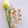 Calcomanía de Corazón de Melocotón Cuentas de Cerámica con Perlas Cuentas de Cerámica Estilo Chino Accesorios Hechos a Mano para DIY Pulsera Accesorios para Collar Material