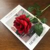 Rosa de flanela artificial única, chumbo de casamento para o dia dos namorados, decoração de casamento para casa, flor falsa, rosa multicolorida