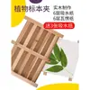Prensa para Espécimenes de Plantas Herramienta para Hacer Espécimenes Papel de Mesa Papel Corrugado Tabla de Estampado Juego de Pinzas para Espécimenes de Hojas Materiales Didácticos de Biología