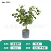 Venda Quente Transfronteiriça 3D Impresso Buquê Artificial de Eucalipto com Folhas de Dinheiro de 16 Peças para Decoração de Casa, Plantas Verdes e Flores Artificiais Atacado