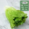 Modelo de vegetal de simulação PU pimenta alface repolho chinês berinjela cebola cogumelo brócolis modelo de adereços decoração de sala