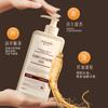Shampoo Zhimeijiu Matrine PCA Zinco Controle de Oleosidade Sabor Perfume Fragrância Duradoura Shampoo Fofo Controle de Oleosidade