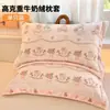 Funda de Almohada de Terciopelo de Leche Engrosada 48X74cm Paquete Doble Invierno para Niños y Adultos Funda Interior para Almohada Individual del Hogar